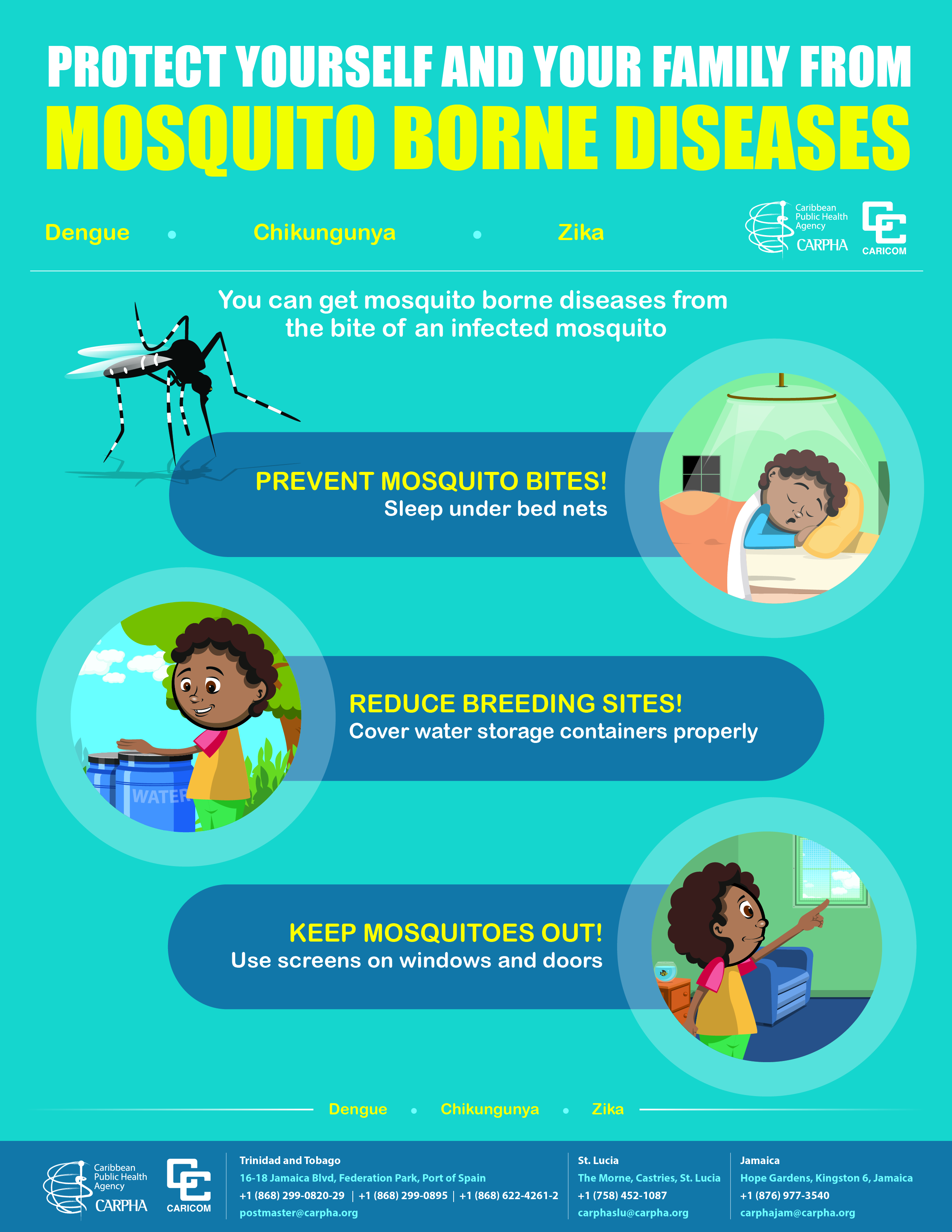 Dengue, Chikv, Zika Poster